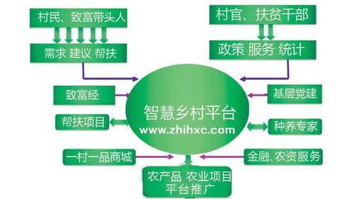 數(shù)字鄉(xiāng)村 概念解析與實踐路徑——信息技術(shù)咨詢服務(wù)視角