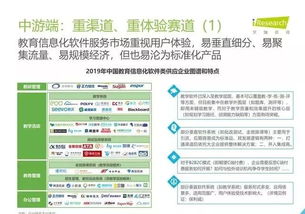 2019年中國教育信息化行業(yè)信息技術(shù)咨詢服務(wù)發(fā)展報告